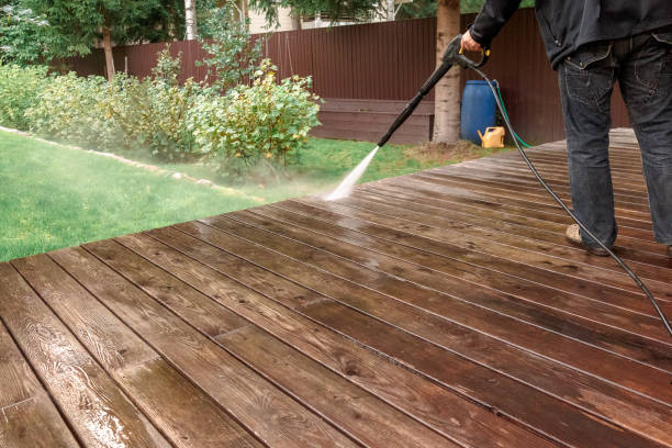 Best Residential House Exterior Washing  in Pleasant Hill, MO